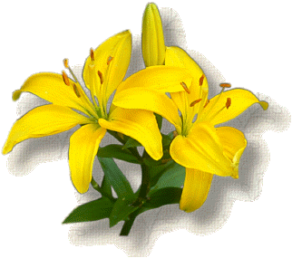 sunflower asian personals Online ordering menu for sunflower asian bistro we have all your favorite asian cuisines at sunflower asian bistro we offer a variety of chinese, thai, korean,. sunflower asian personals Online ordering menu for sunflower asian bistro we have all your favorite asian cuisines at sunflower asian bistro we offer a variety of chinese, thai, korean,.