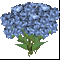 fp_hydrangea21.gif