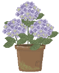gd01hydrangea.gif