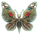 n2-butterfly.gif