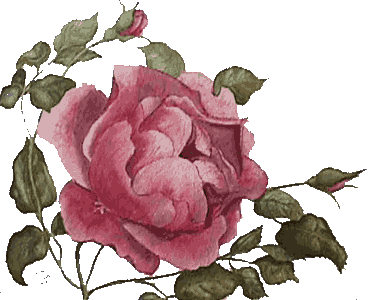 rose1atr.gif